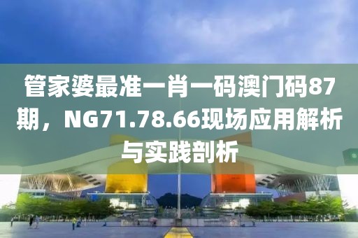 管家婆最準(zhǔn)一肖一碼澳門碼87期，NG71.78.66現(xiàn)場應(yīng)用解析與實踐剖析