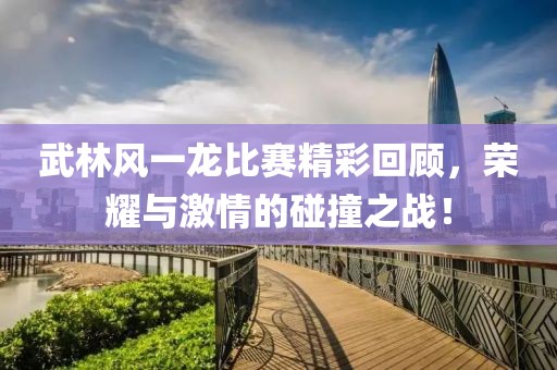 武林風(fēng)一龍比賽精彩回顧，榮耀與激情的碰撞之戰(zhàn)！