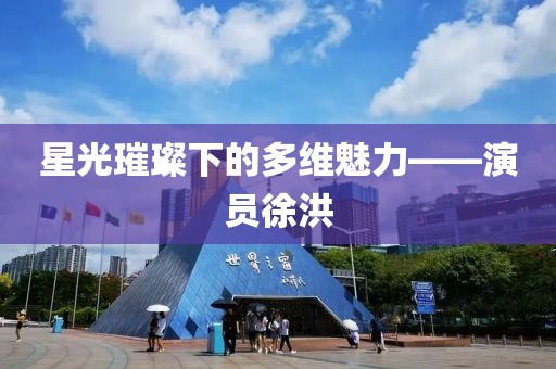 星光璀璨下的多維魅力——演員徐洪