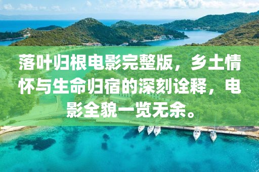 落葉歸根電影完整版，鄉(xiāng)土情懷與生命歸宿的深刻詮釋，電影全貌一覽無余。