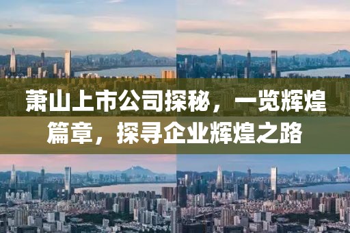 蕭山上市公司探秘，一覽輝煌篇章，探尋企業(yè)輝煌之路