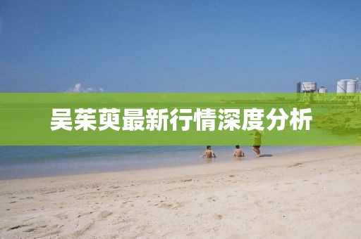 吳茱萸最新行情深度分析