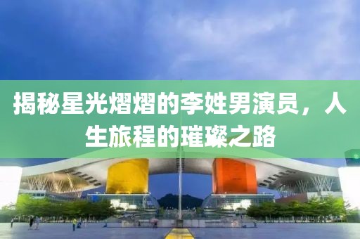 揭秘星光熠熠的李姓男演員，人生旅程的璀璨之路