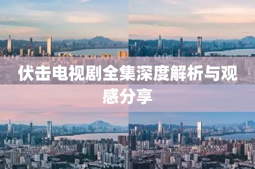 伏擊電視劇全集深度解析與觀感分享