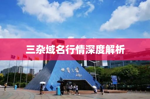 三雜域名行情深度解析
