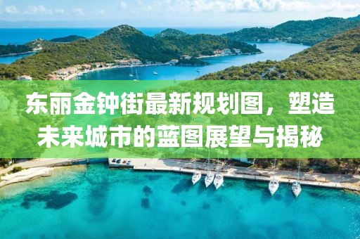 東麗金鐘街最新規(guī)劃圖，塑造未來城市的藍(lán)圖展望與揭秘