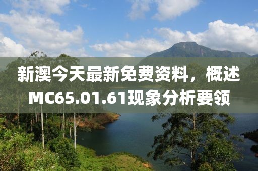 新澳今天最新免費(fèi)資料，概述MC65.01.61現(xiàn)象分析要領(lǐng)