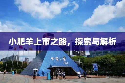 小肥羊上市之路，探索與解析