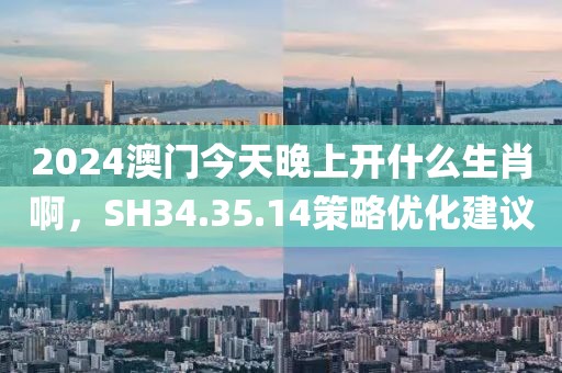 2024澳門今天晚上開什么生肖啊，SH34.35.14策略優(yōu)化建議