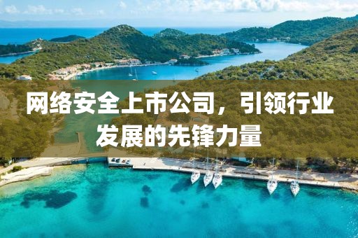 網(wǎng)絡安全上市公司，引領(lǐng)行業(yè)發(fā)展的先鋒力量