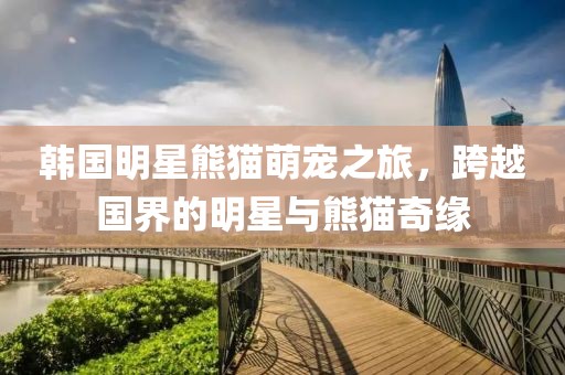 韓國(guó)明星熊貓萌寵之旅，跨越國(guó)界的明星與熊貓奇緣