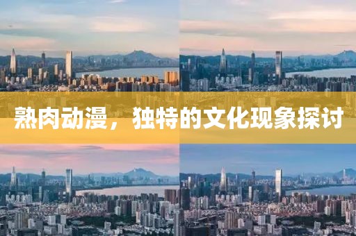 熟肉動(dòng)漫，獨(dú)特的文化現(xiàn)象探討