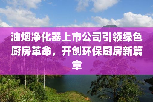 油煙凈化器上市公司引領(lǐng)綠色廚房革命，開創(chuàng)環(huán)保廚房新篇章