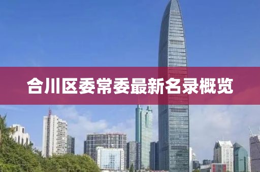 合川區(qū)委常委最新名錄概覽