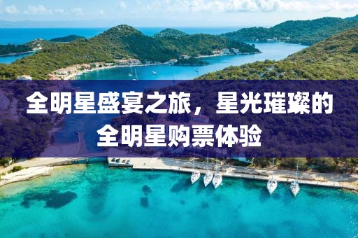 全明星盛宴之旅，星光璀璨的全明星購(gòu)票體驗(yàn)