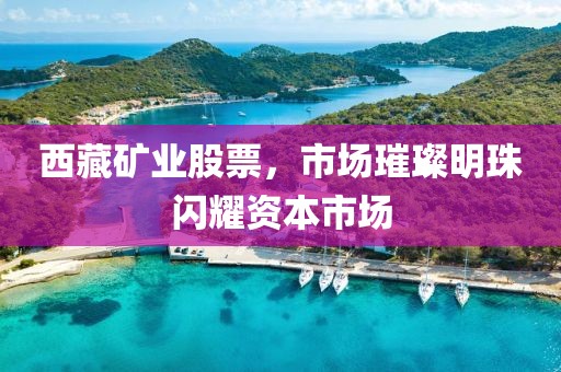 西藏礦業(yè)股票，市場璀璨明珠閃耀資本市場