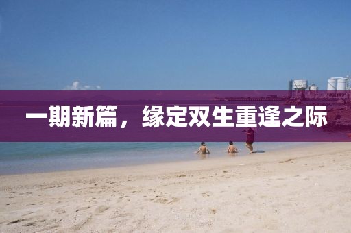 一期新篇，緣定雙生重逢之際