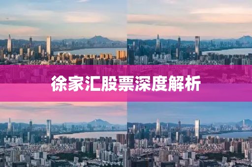 徐家匯股票深度解析