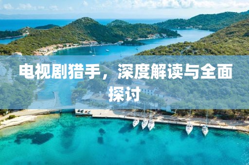 電視劇獵手，深度解讀與全面探討
