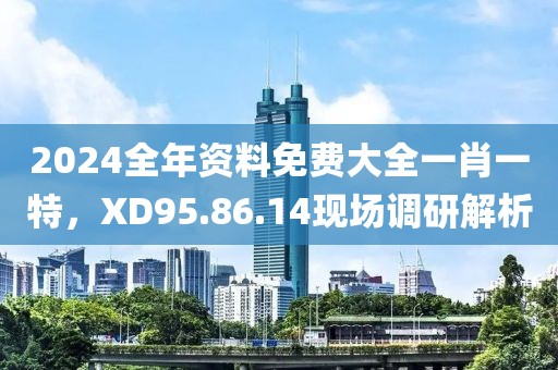 2024全年資料免費(fèi)大全一肖一特，XD95.86.14現(xiàn)場(chǎng)調(diào)研解析