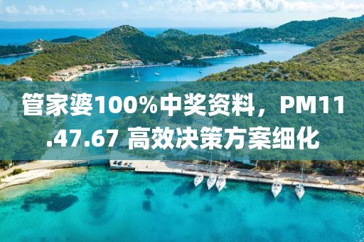 管家婆100%中獎資料，PM11.47.67 高效決策方案細(xì)化