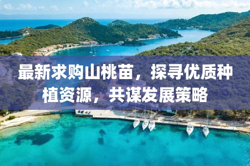 最新求購山桃苗，探尋優(yōu)質(zhì)種植資源，共謀發(fā)展策略