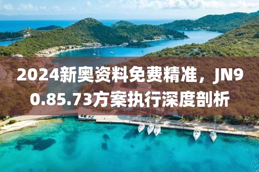 2024新奧資料免費(fèi)精準(zhǔn)，JN90.85.73方案執(zhí)行深度剖析