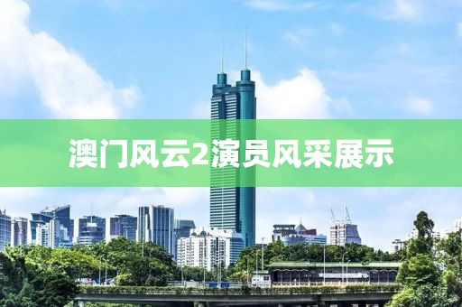 澳門風云2演員風采展示