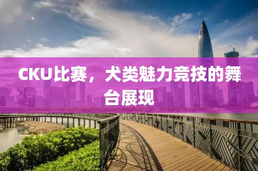 CKU比賽，犬類魅力競技的舞臺(tái)展現(xiàn)
