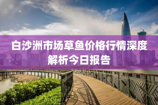帕嘉音 第4頁
