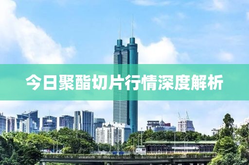 今日聚酯切片行情深度解析