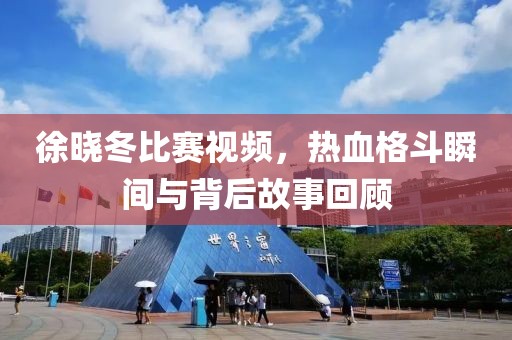徐曉冬比賽視頻，熱血格斗瞬間與背后故事回顧