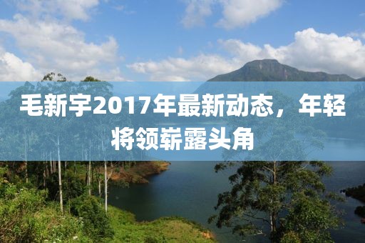 毛新宇2017年最新動態(tài)，年輕將領(lǐng)嶄露頭角