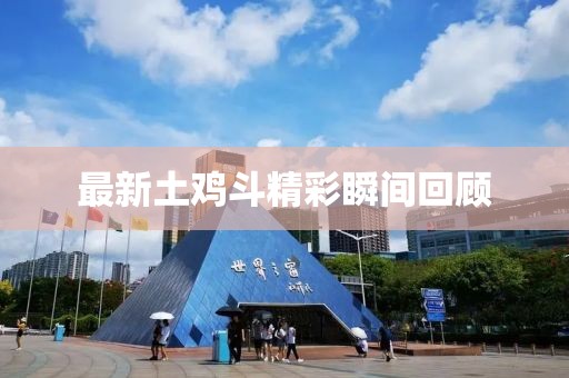 最新土雞斗精彩瞬間回顧