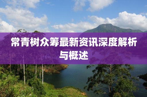 常青樹眾籌最新資訊深度解析與概述
