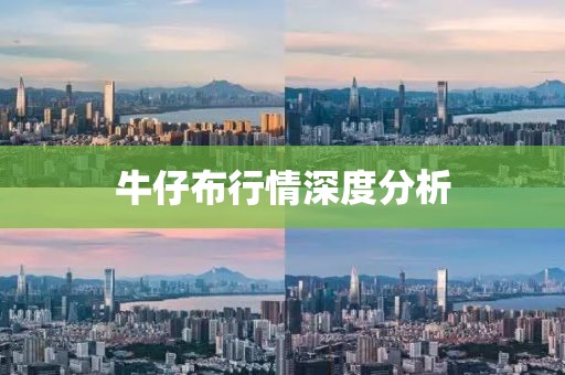 牛仔布行情深度分析
