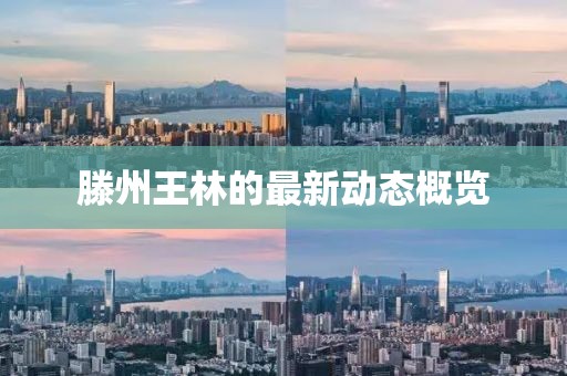 滕州王林的最新動態(tài)概覽