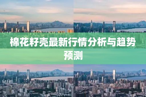 棉花籽殼最新行情分析與趨勢(shì)預(yù)測(cè)