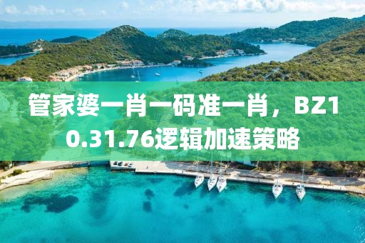 管家婆一肖一碼準一肖，BZ10.31.76邏輯加速策略