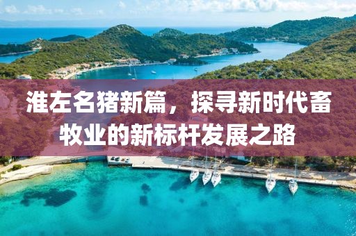 淮左名豬新篇，探尋新時代畜牧業(yè)的新標(biāo)桿發(fā)展之路