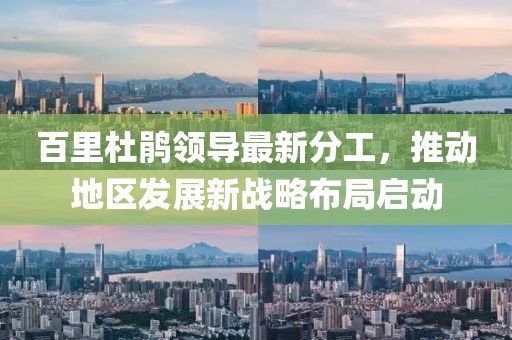 百里杜鵑領(lǐng)導(dǎo)最新分工，推動(dòng)地區(qū)發(fā)展新戰(zhàn)略布局啟動(dòng)