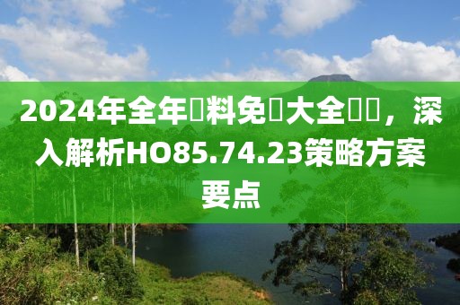 2024年全年資料免費大全優(yōu)勢，深入解析HO85.74.23策略方案要點