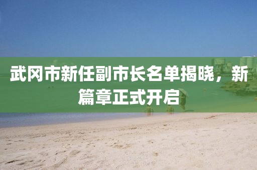 武岡市新任副市長名單揭曉，新篇章正式開啟