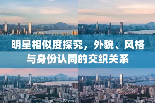明星相似度探究，外貌、風(fēng)格與身份認(rèn)同的交織關(guān)系