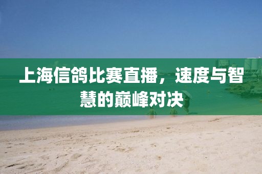 上海信鴿比賽直播，速度與智慧的巔峰對(duì)決