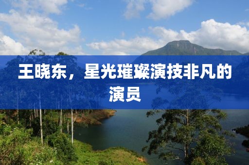 王曉東，星光璀璨演技非凡的演員