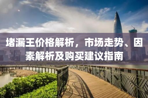 堵漏王價格解析，市場走勢、因素解析及購買建議指南