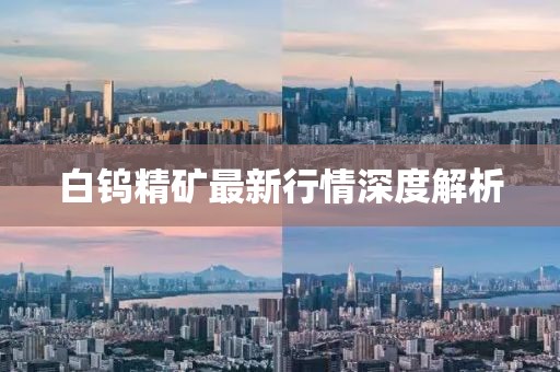 白鎢精礦最新行情深度解析
