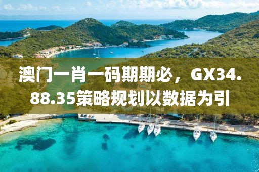 澳門一肖一碼期期必，GX34.88.35策略規(guī)劃以數(shù)據(jù)為引