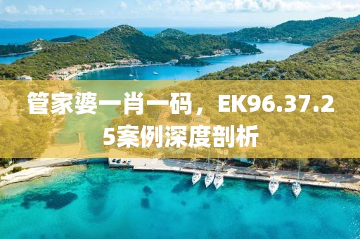 管家婆一肖一碼，EK96.37.25案例深度剖析